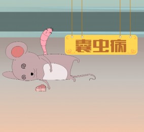 食品有意思：可怕的豬囊尾蚴??！