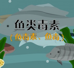 食品有意思：秒懂魚(yú)類(lèi)毒素