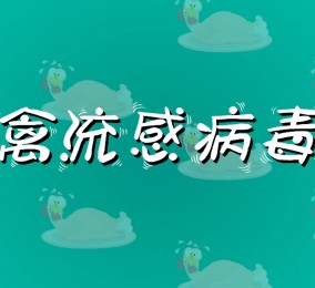 食品有意思：如何預(yù)防禽流感病毒感染？ 
