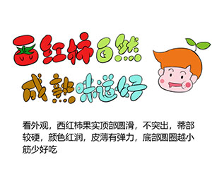 如何選購(gòu)西紅柿？