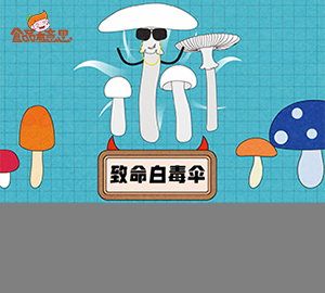 致命白毒傘是什么？