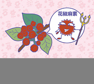 科普視頻：花椒為什么那么麻？