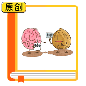 食品科普：多吃核桃真的會變聰明嗎？（食育） (1)